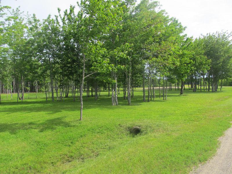 Land for sale REDUCED by $3000