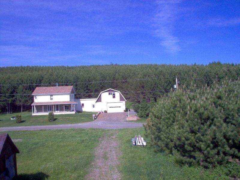 house with wooded lot