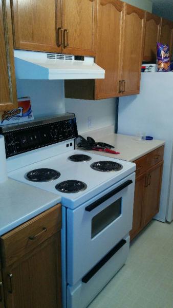 Looking for Roommate - Large appt near UNB Watch |