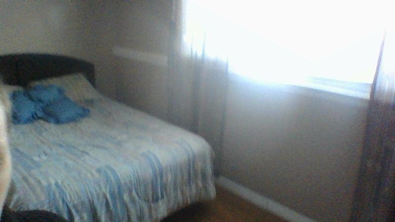 bed room to rent