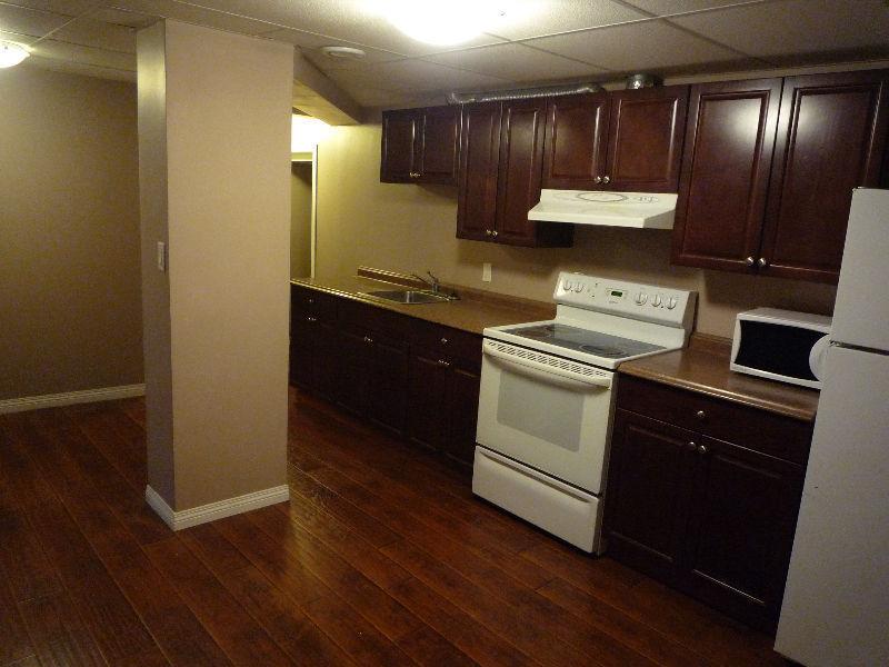 Beautiful home near U of M, 1 bedroom available in lower suite