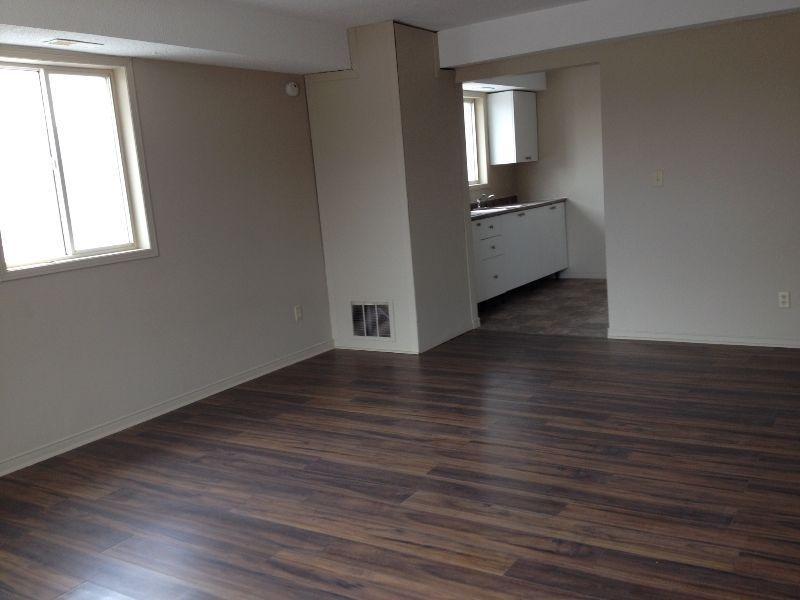 Upper Level Newly Renovated 1 Bedroom Apartment in