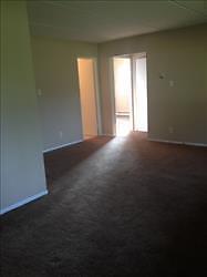 1421 and 1451 Brookdale Avenue, 1BR