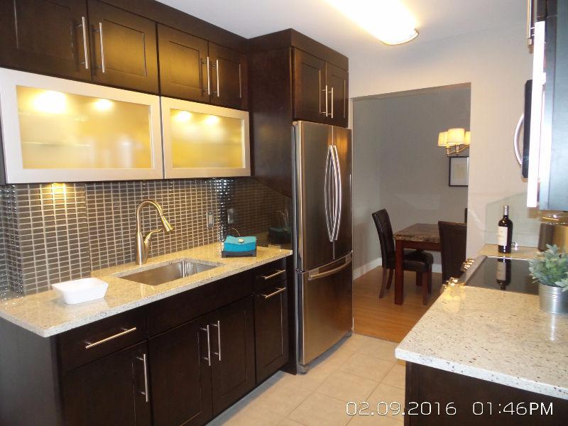 Immaculate, Fully Furnished Executive 1 Bedroom Condo for Rent