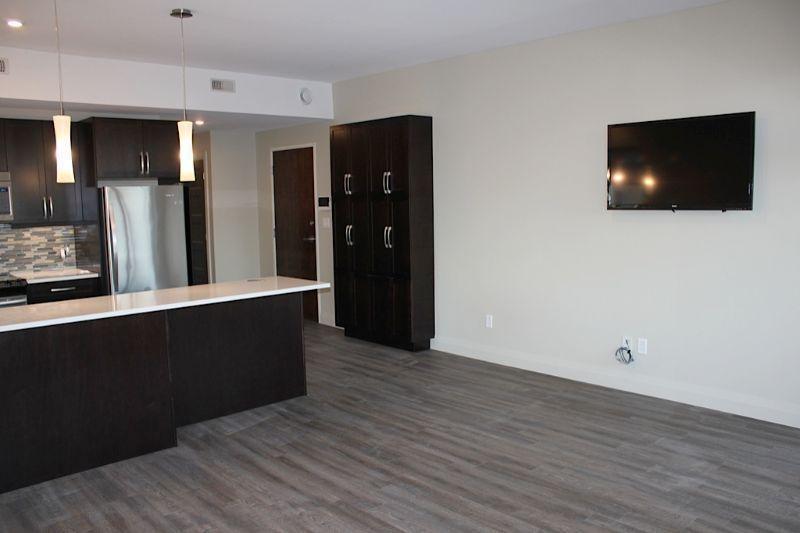 Modern Lrg 1 B/R All utilities, WIFI and appliances included