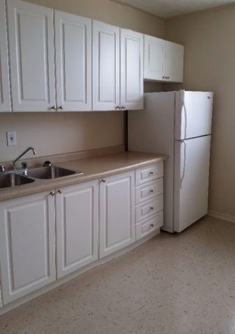 1 bdr condo for rent in