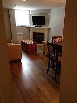 Beautiful, New One Bedroom Apt in Lower Level of Large Home