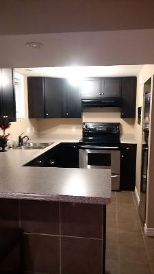 Newly renovated 1 bedroom basement apartment aviable