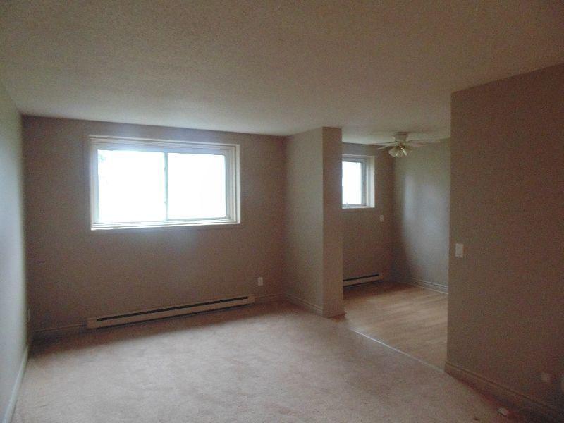 Available March 1 2016