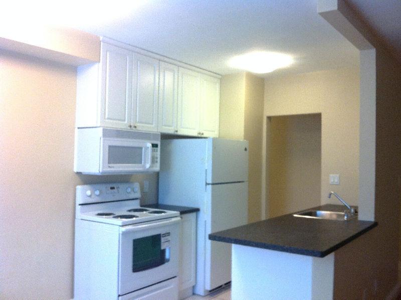 Beautiful Renovation/Great Mtn Location FREE Parking too!