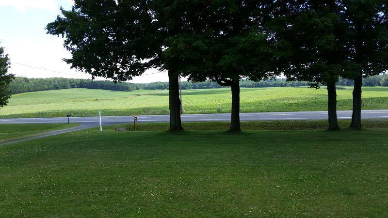 45 acre hobby farm for sale