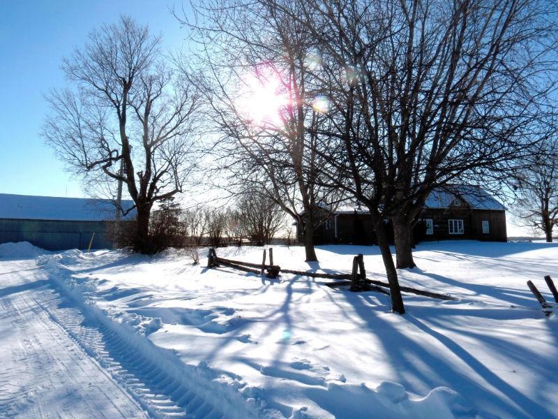 LOVELY COUNTRY FARMHOUSE IN BEAUTIFUL SETTING! 20316 FALLOWFIELD