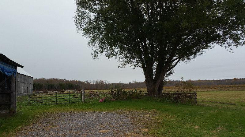 Nice Cozy Private Country House for Rent in Tweed for $1300.00