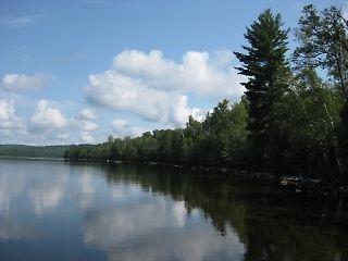 Waterfront Lot on Bark Lake!