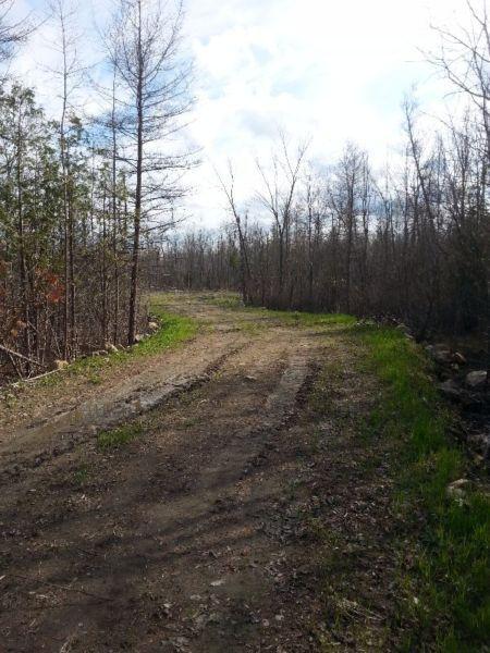 a huge 9.5 acre building lot ready for your dream home!