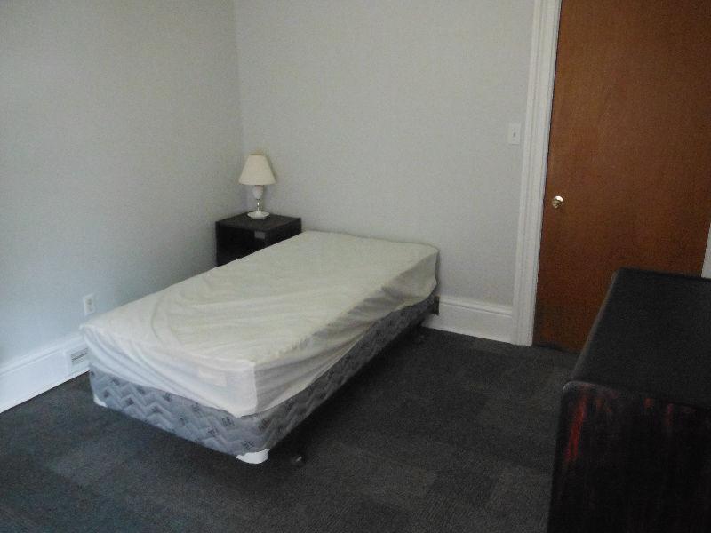 available immediately, near downtown, new, clean, furnished