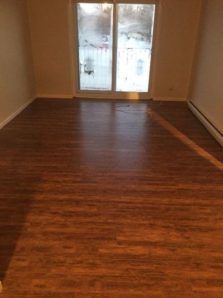Spacious One Bedroom Apartment $795