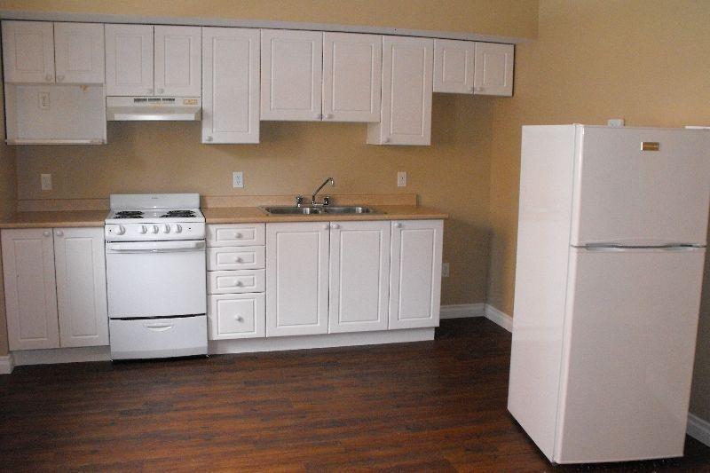 Newly Renovated 1 Bedroom Apartment Available Immediately