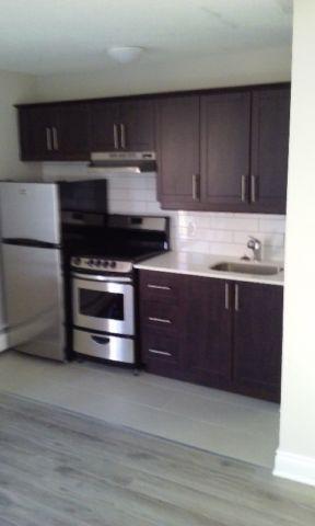 Byward market Renovated 1BR Utilities included