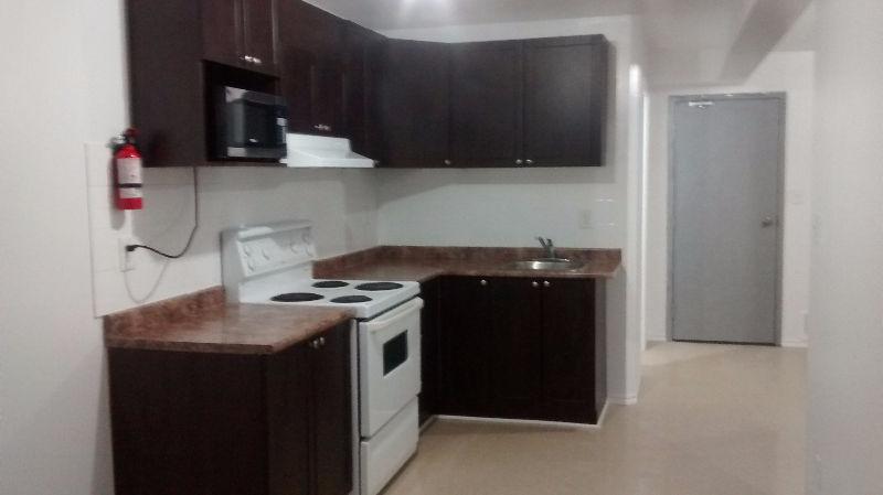 One bedroom basement apartment for rent in downtown