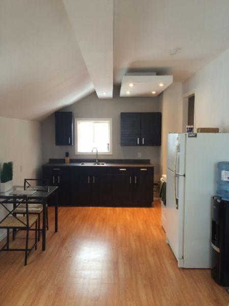 1 bedroom duplex unit for rent in Dryden, newly renovated !!!