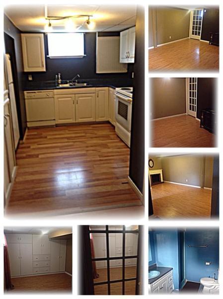 Beautiful 1 bedroom+ den available April 1/2016
