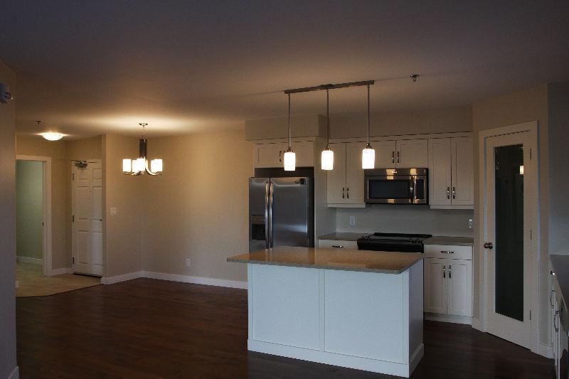 Brand new condo for rent in St. Vital