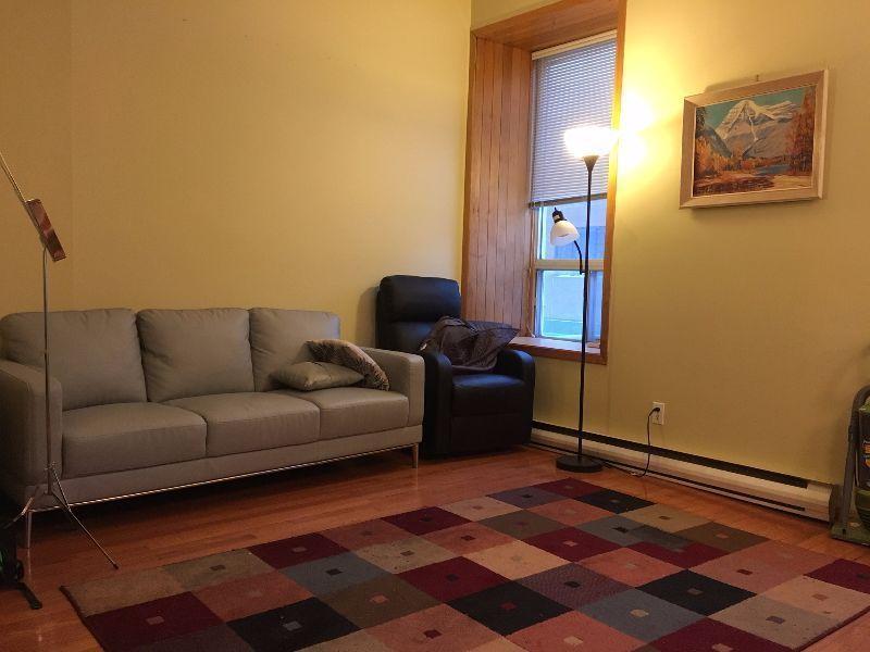 Spacious 2 BR Apartment Downtown , Available June 1st