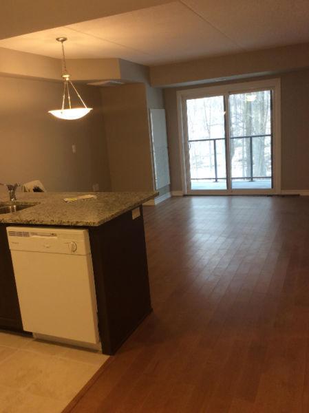 Brand new 2 BR apartment for rent!