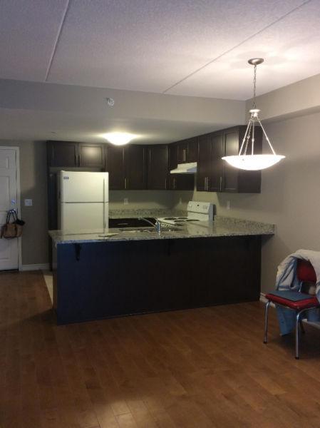 Brand new 2 BR apartment for rent!