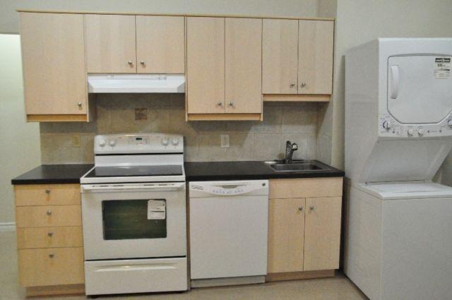 Large 2 Bedroom - Great Location! - Centretown / Downtown