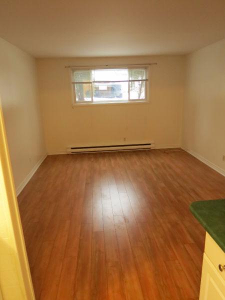 Spacious 3 bedroom Apt for May 1st