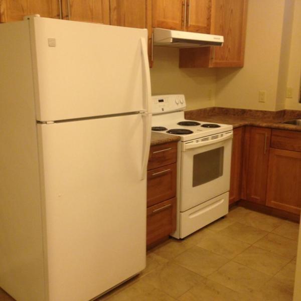 Bachelor Apartment $650 inclusive in Kingsville!