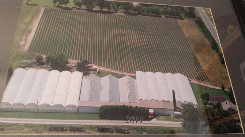 1.7 ACRES GREENHOUSE/8 ACRES FARM LAND/HOUSE/GARAGE