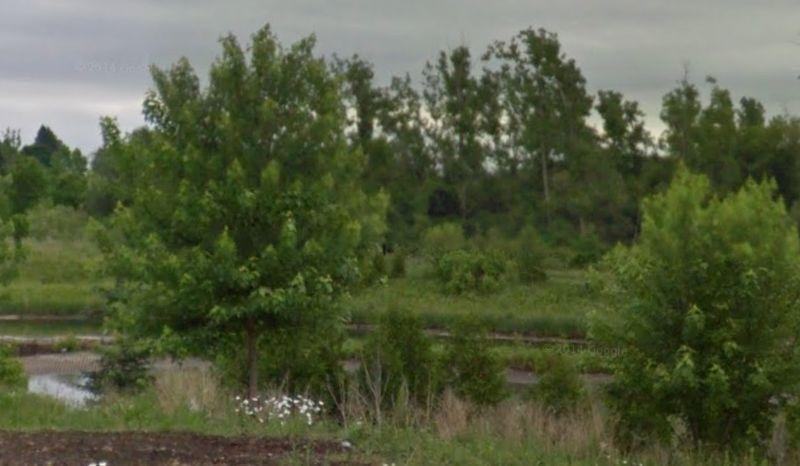 Wanted: Looking for Home Backing onto Conservation or Trail