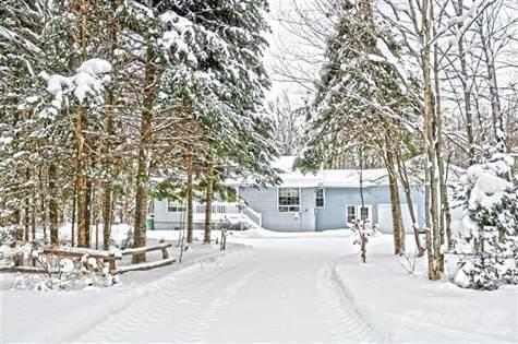 Homes for Sale in Armour, Burk's Falls,  $279,000