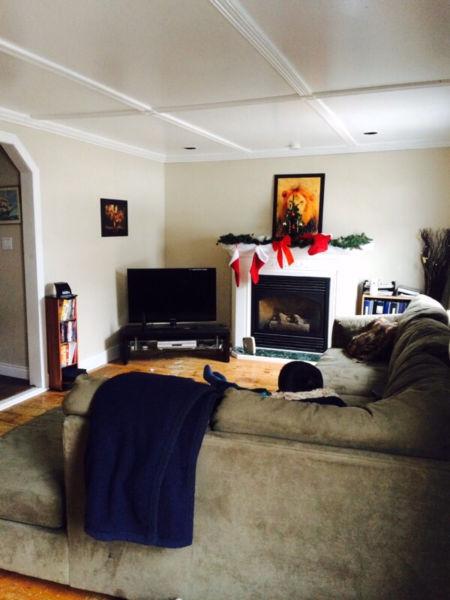 Small house for rent