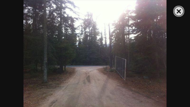 Endless Possibilities Acreage for Sale