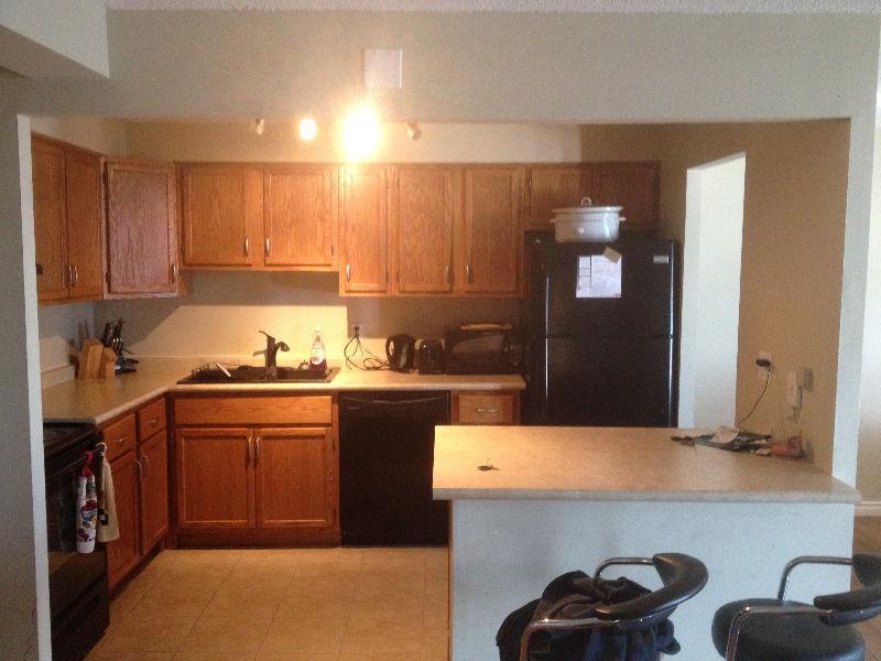 Roommate Wanted for Downtown Luxury Condo - No Lease Required