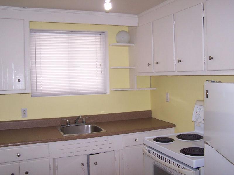 Large and clean apartment