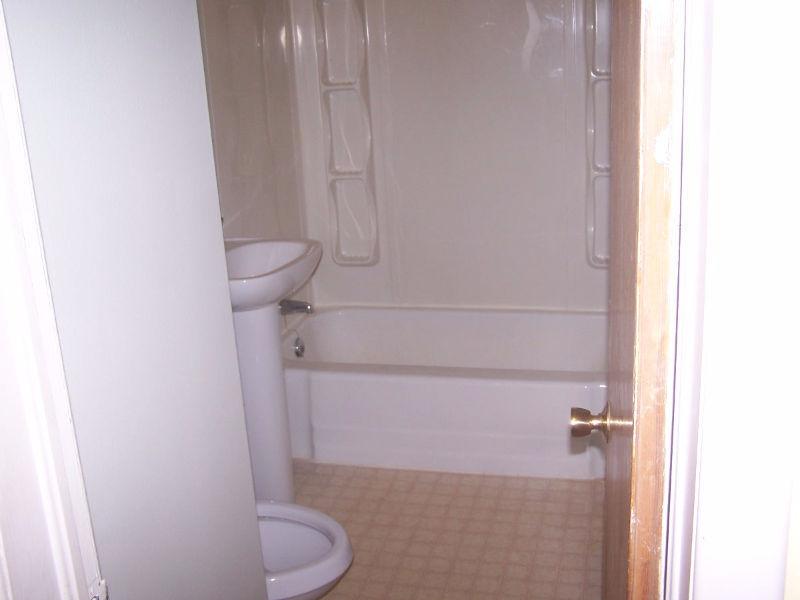 Large and clean apartment