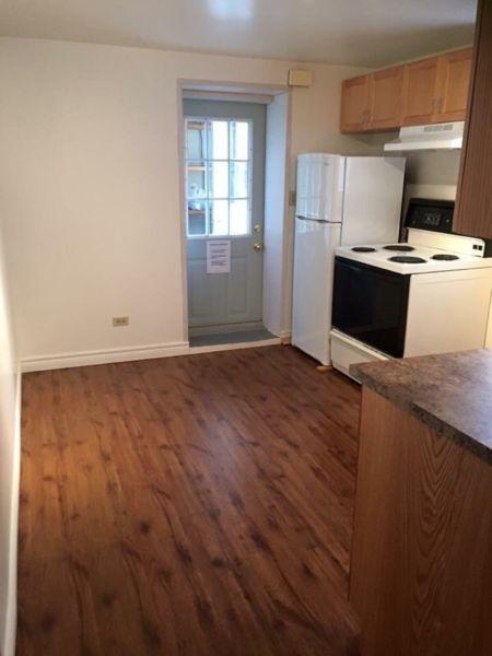 NON SMOKING 1 bedroom apt available May 1st