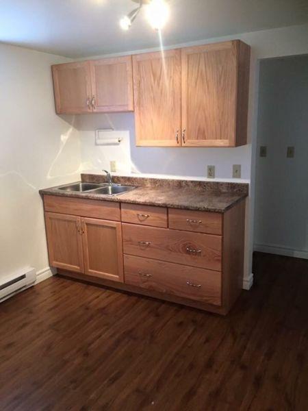 NON SMOKING 1 bedroom apt available May 1st