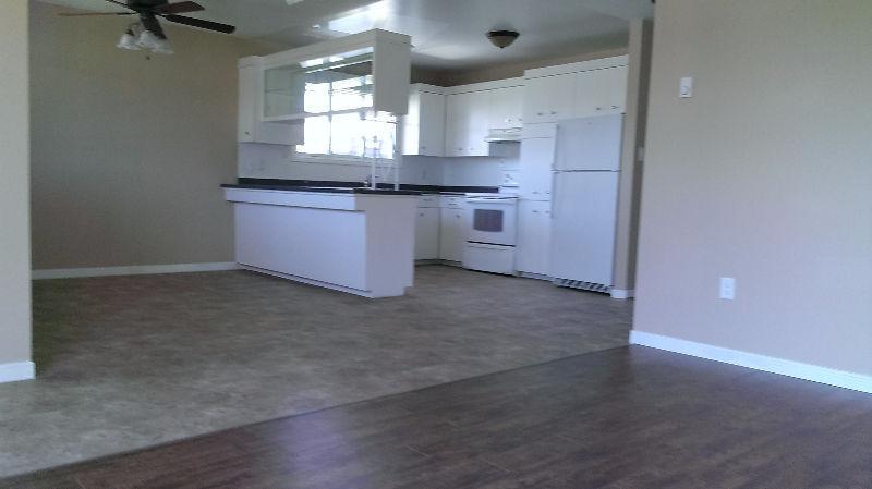 Large renovated 3 bedroom apartment in New