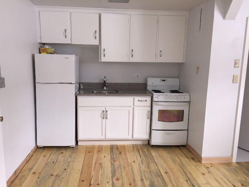 Newly Renovated Bachelor Apartment Available March 1, Downtown