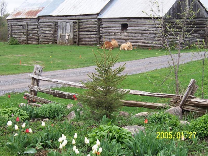 50 Acre Hobby Farm