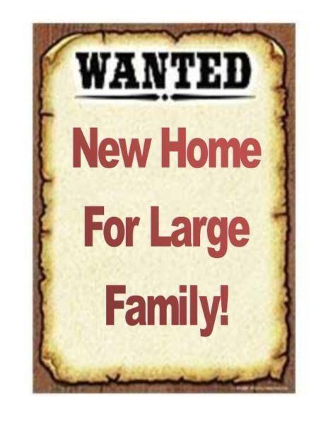 Wanted: Large Family Is Looking For Their Future Home
