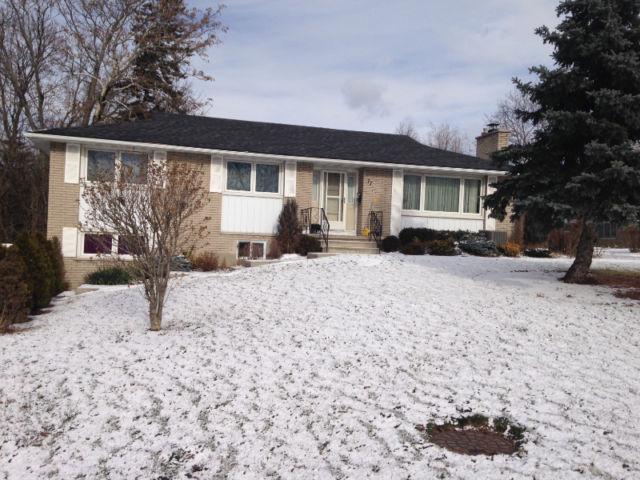 Glendale-Glenridge--- only 4 MIN BUS RIDE TO BROCK U