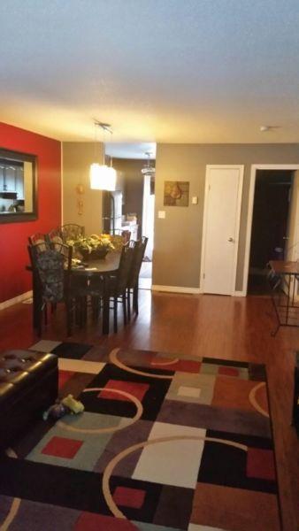 3 bedroom 2 bath new  student friendly