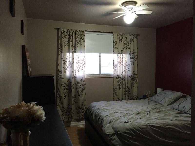 A Beautiful Home Close to Con College & LU - only one br left